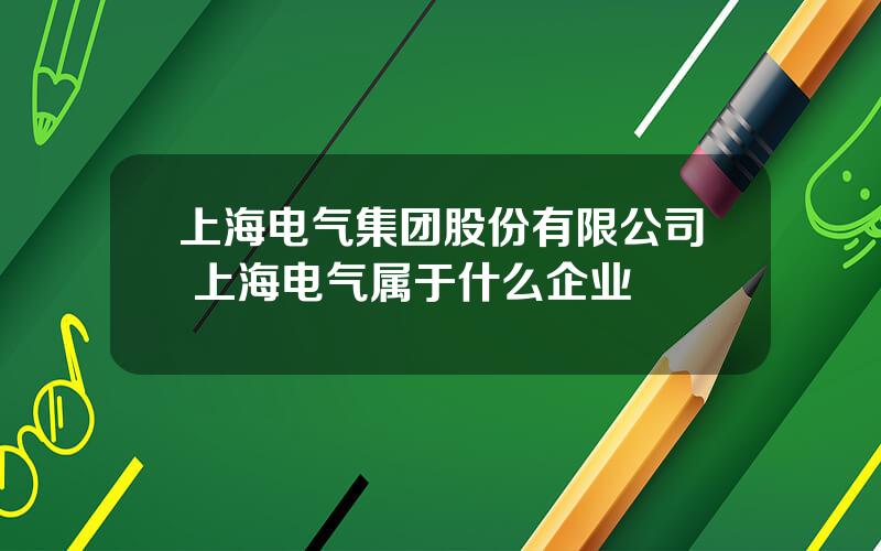 上海电气集团股份有限公司 上海电气属于什么企业